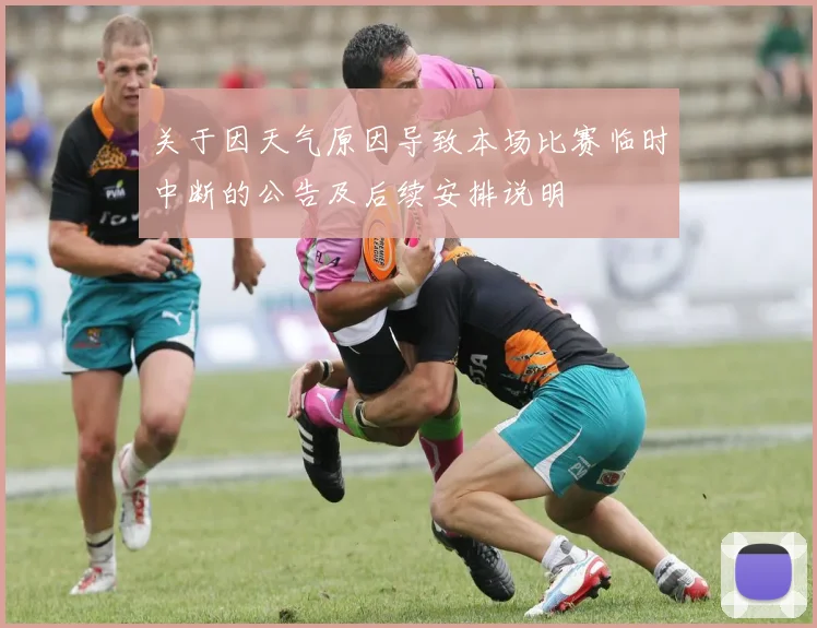 关于因天气原因导致本场比赛临时中断的公告及后续安排说明